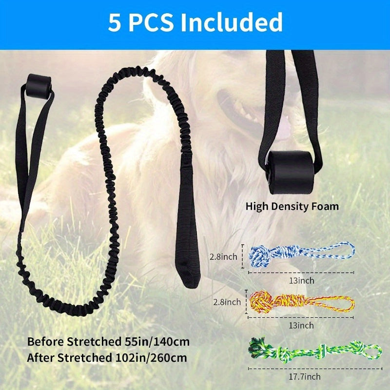Heavy Duty Spring Pole Dog Rope Toy With Bungee System