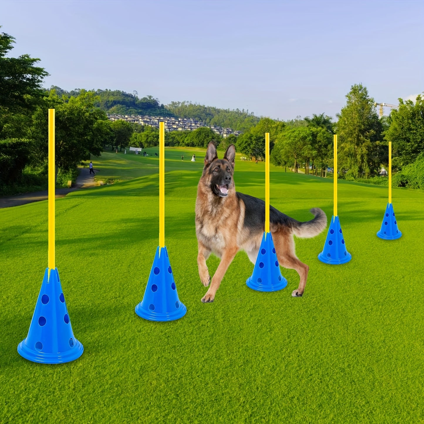 Dog Agility Hurdle Cone Set With Adjustable Obstacle Course