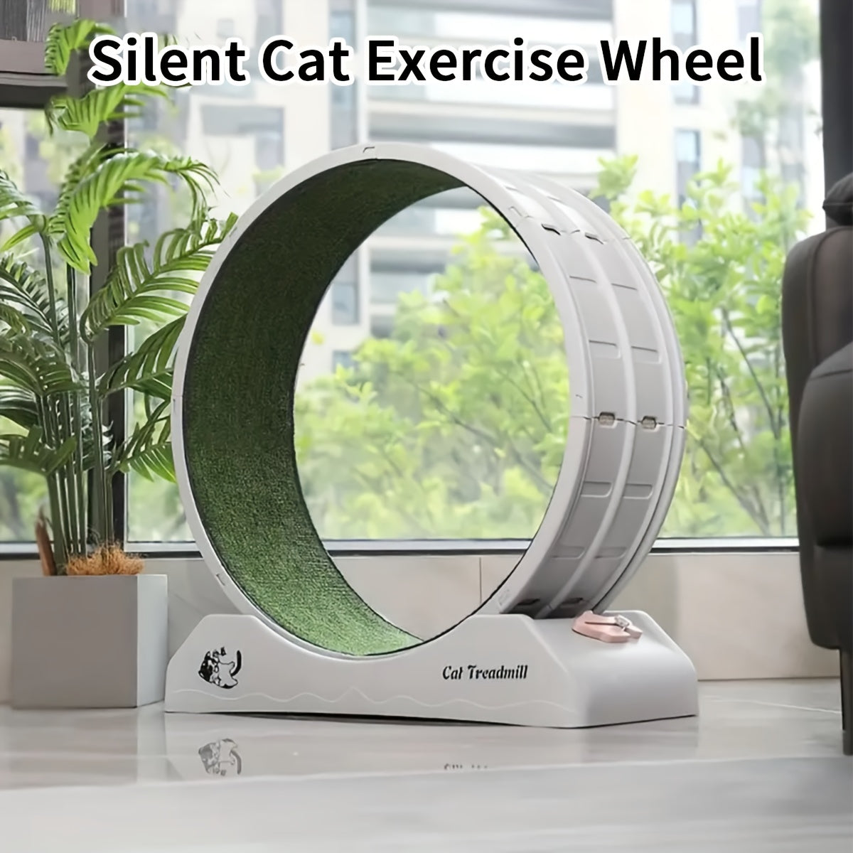 Cat Exercise Wheel for Indoor Fitness and Health Activities