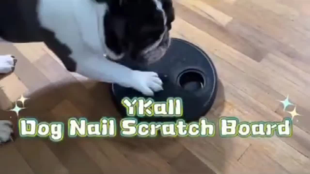 Dog Nail Scratch Board 3 In 1 Rotatable Treat Box Toy