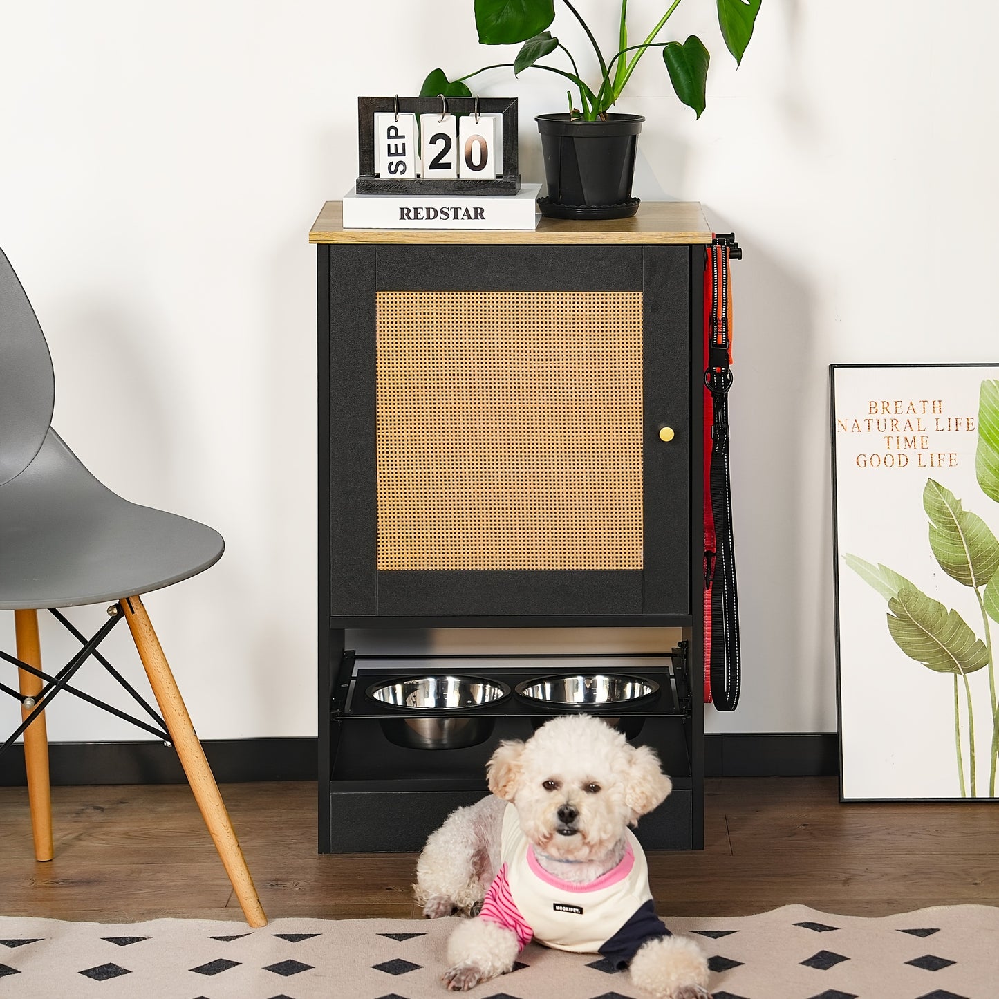 All In One Pet Feeding Station With Storage Cabinet