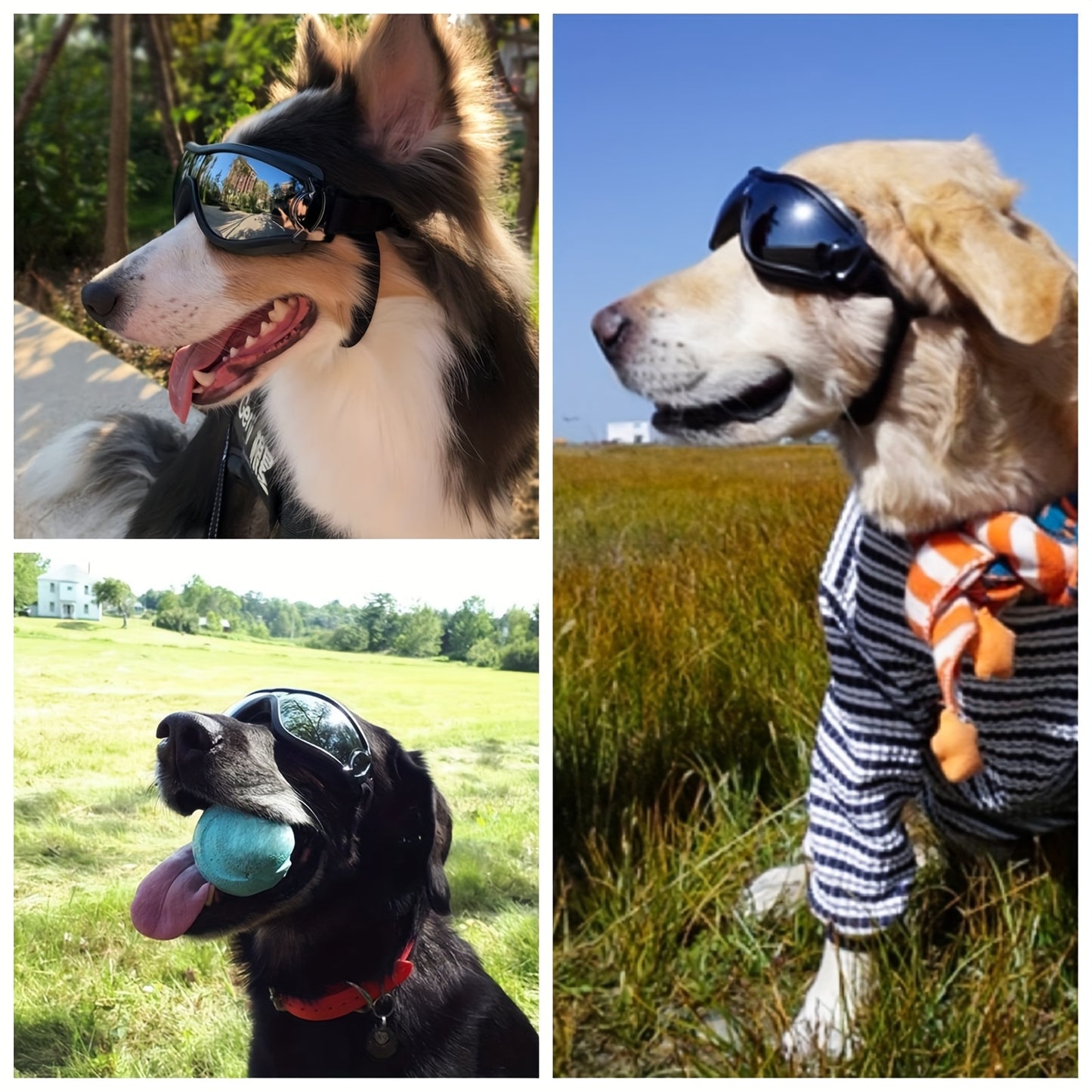 Anti-UV Windproof Dog Goggles for Outdoor Adventures and Travel