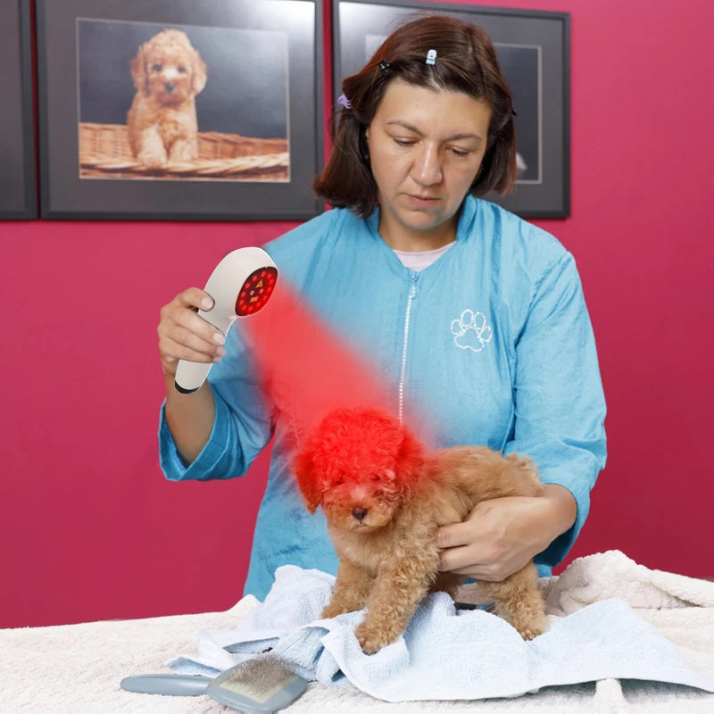 Handheld 808nm Laser Therapy for Dogs Red Light Pain Relief