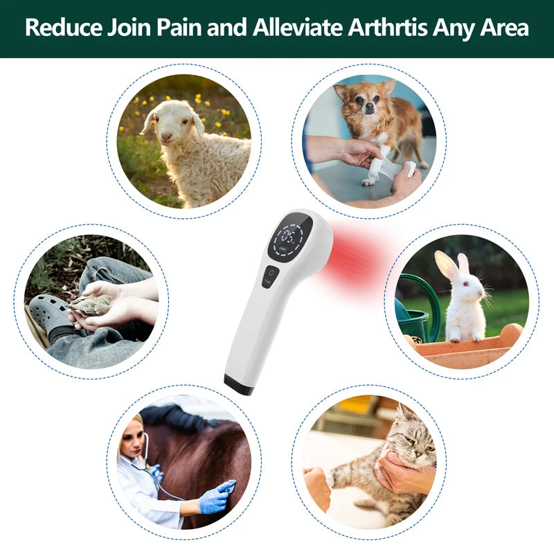 Handheld 808nm Laser Therapy for Dogs Red Light Pain Relief