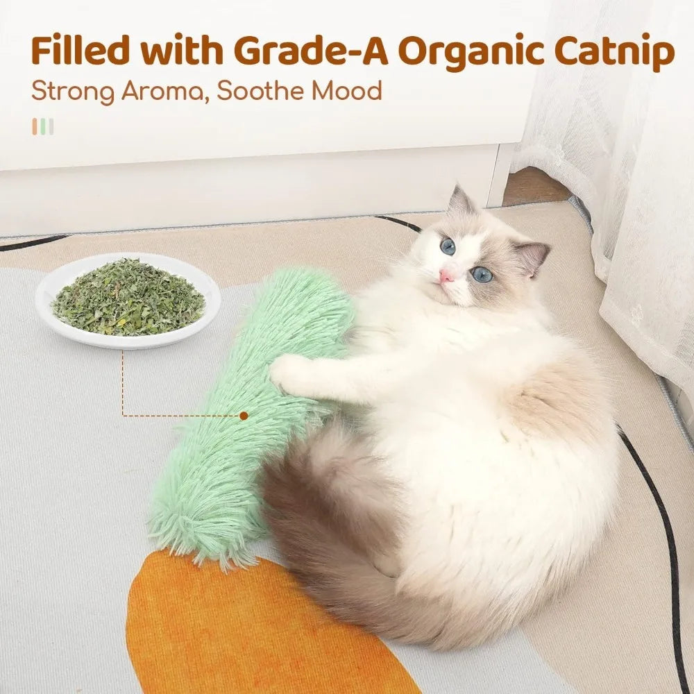 Zhejiang Catnip Kicker Toy For Indoor Interactive Playtime