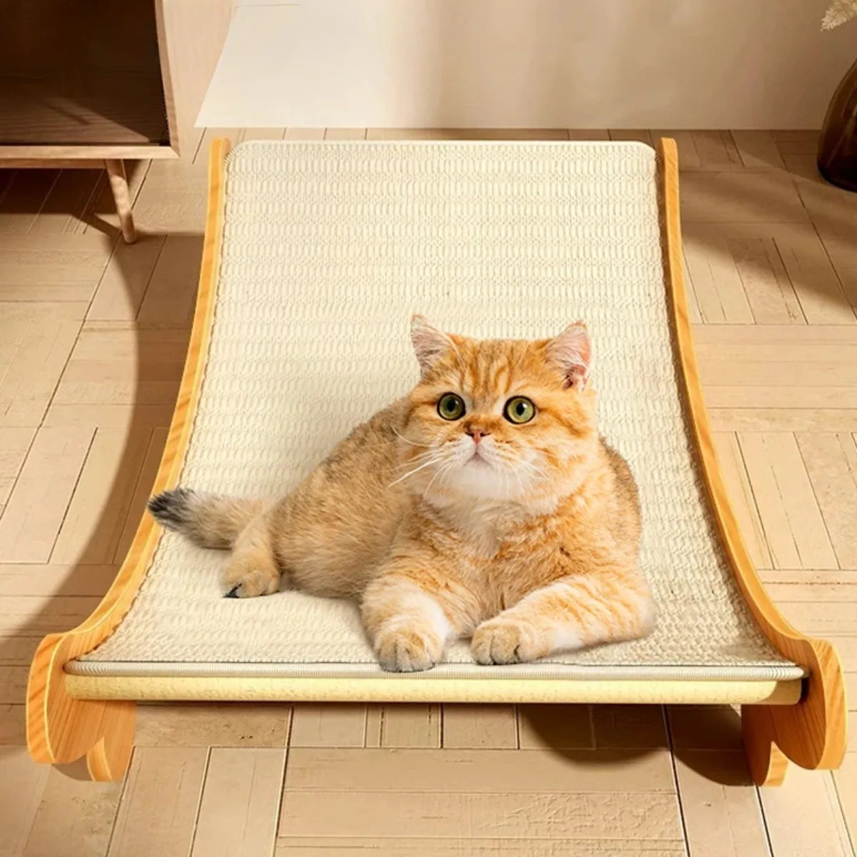 Sichuan Wooden Cat Scratching Pad Bed Wear Resistant