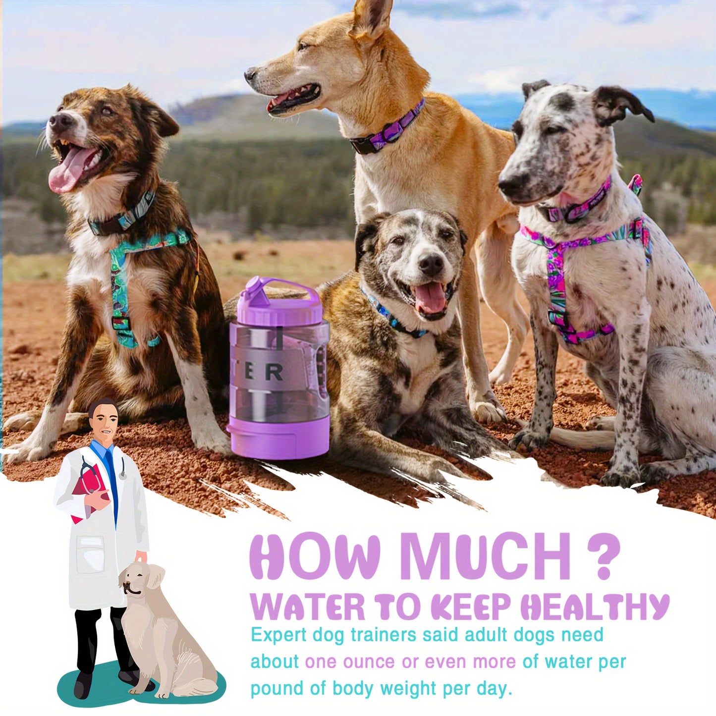LESOTC Dog Water Bottle With Pull Out Bowl Hydration