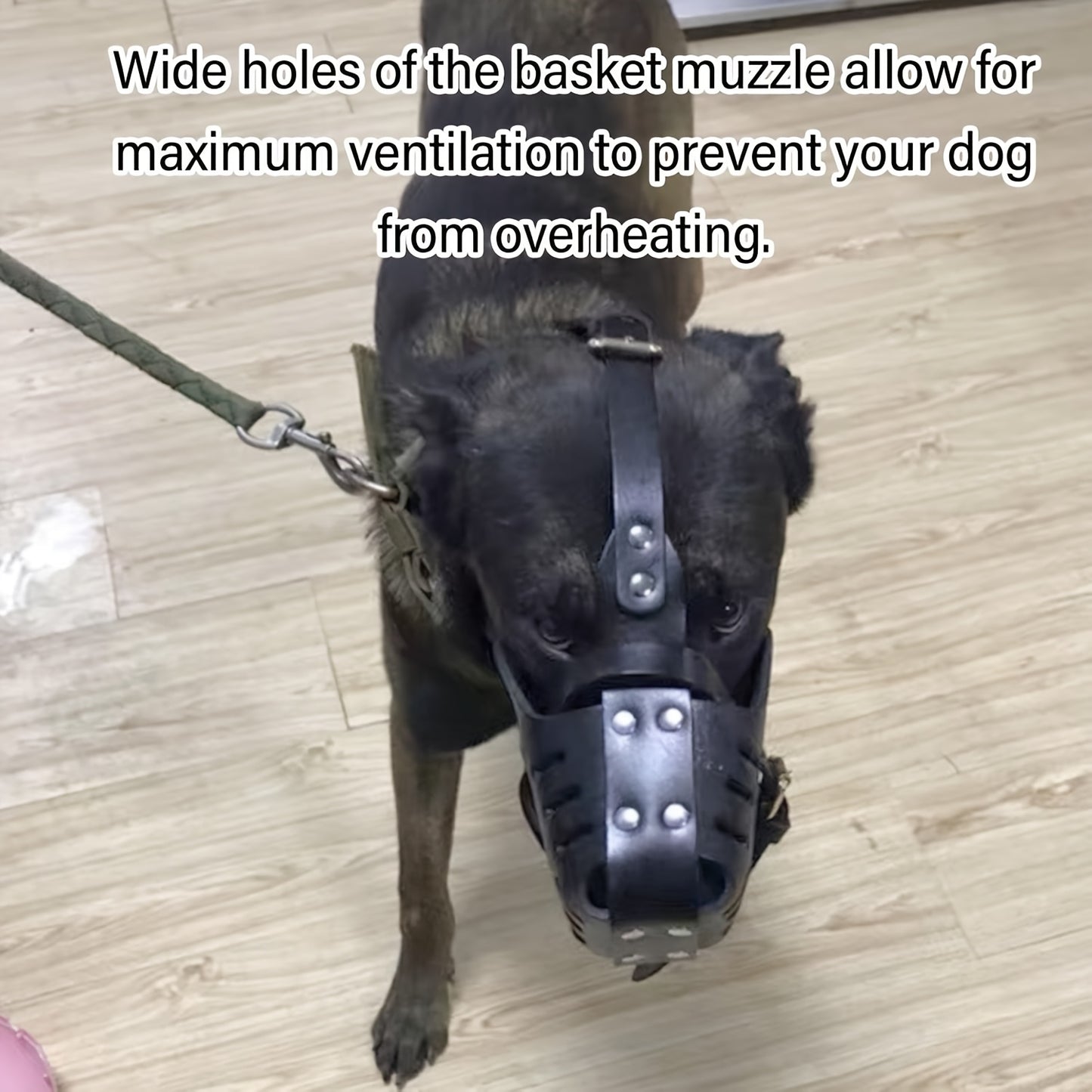 Comfortable Adjustable Faux Leather Dog Muzzle for Training