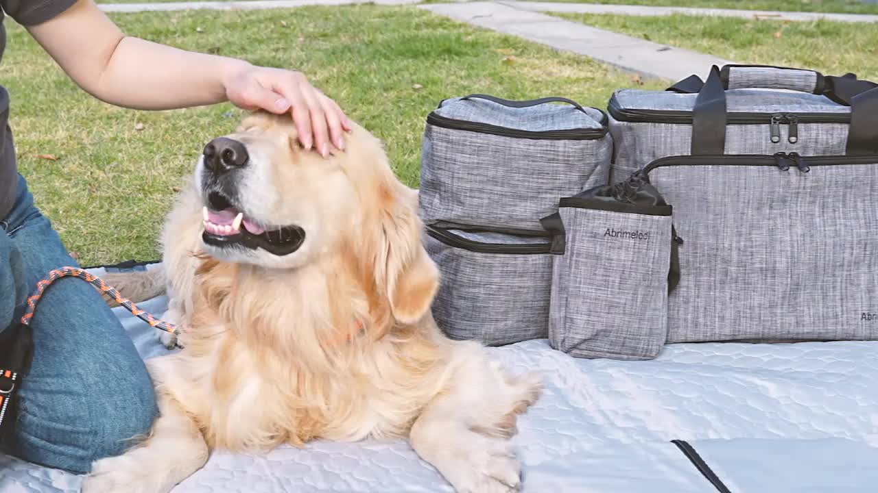 Six Piece Dog Travel Bag Set With Bowls And Containers
