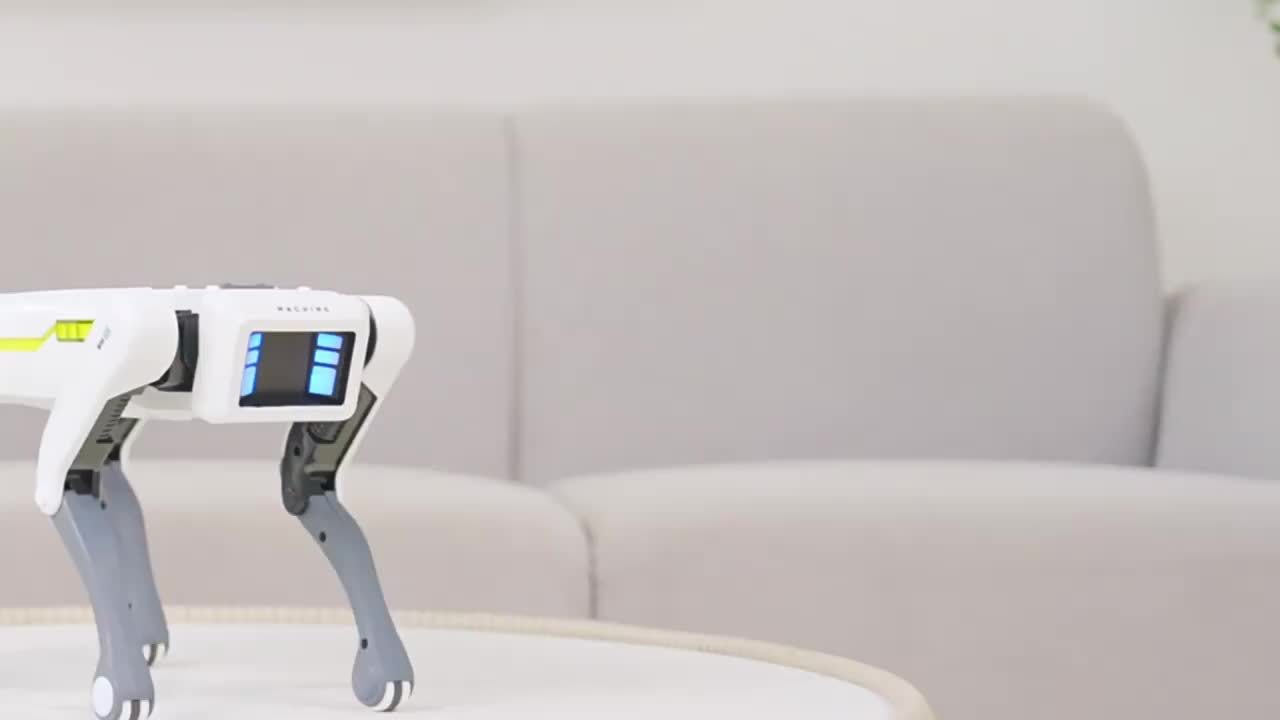 Intelligent Robot Dog With Programmable Voice Commands