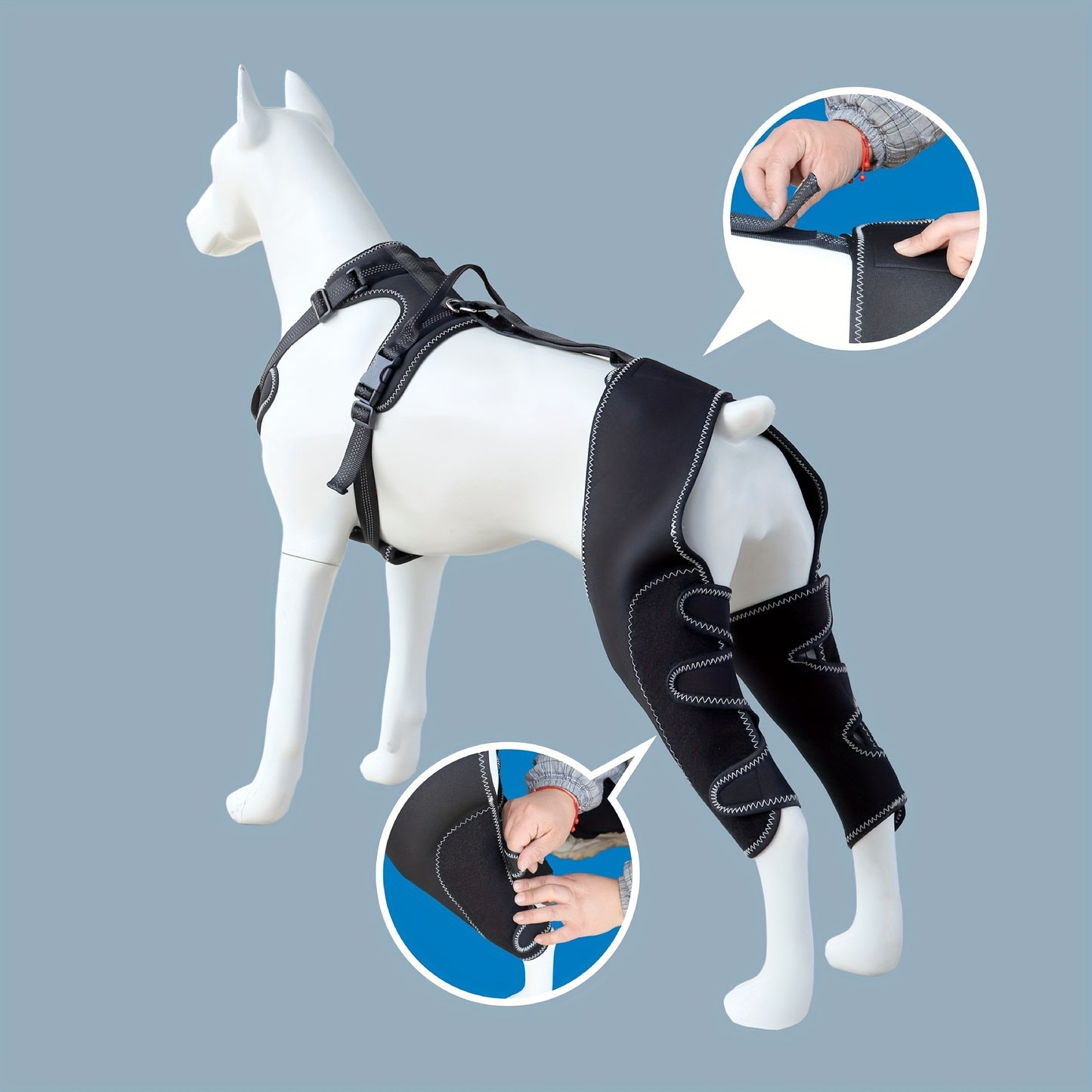 Dog Hind Leg Support Guard With Chest Harness Leash