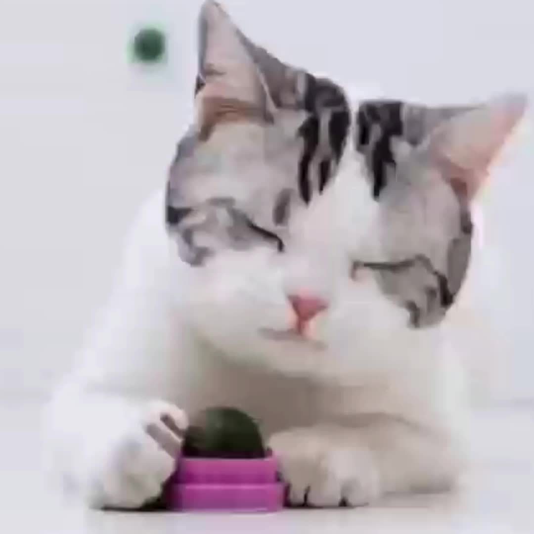 Cat Mint Grass Ball Chew Toy For Dental Care Wall Mounted