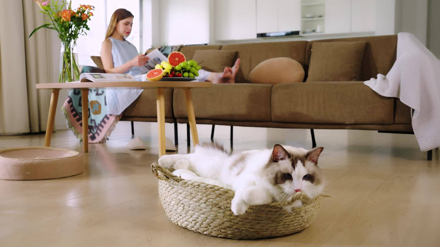 Self Cleaning Automatic Cat Litter Box With App Control