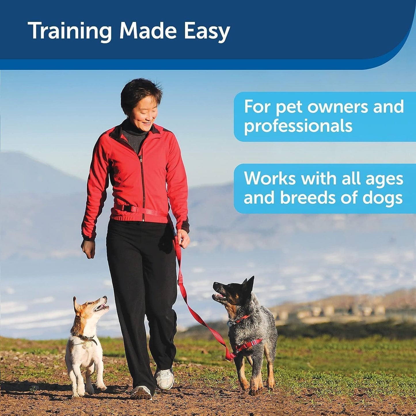Remote Treat Dispensing Dog Training System for Positive Reinforcement