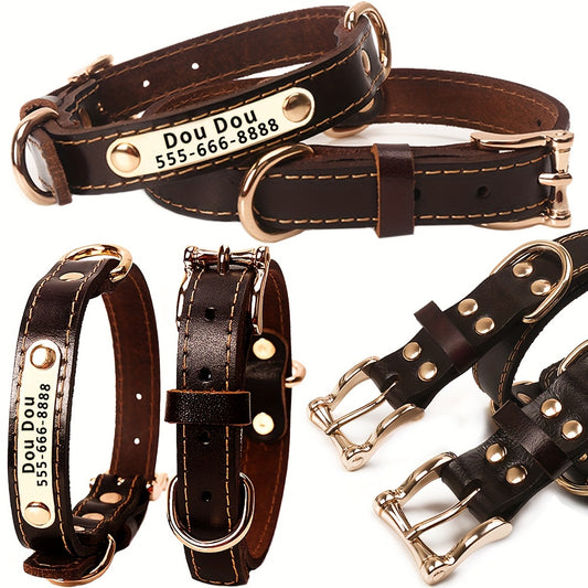 Personalized Engraved Dog Collar with Adjustable Buckle