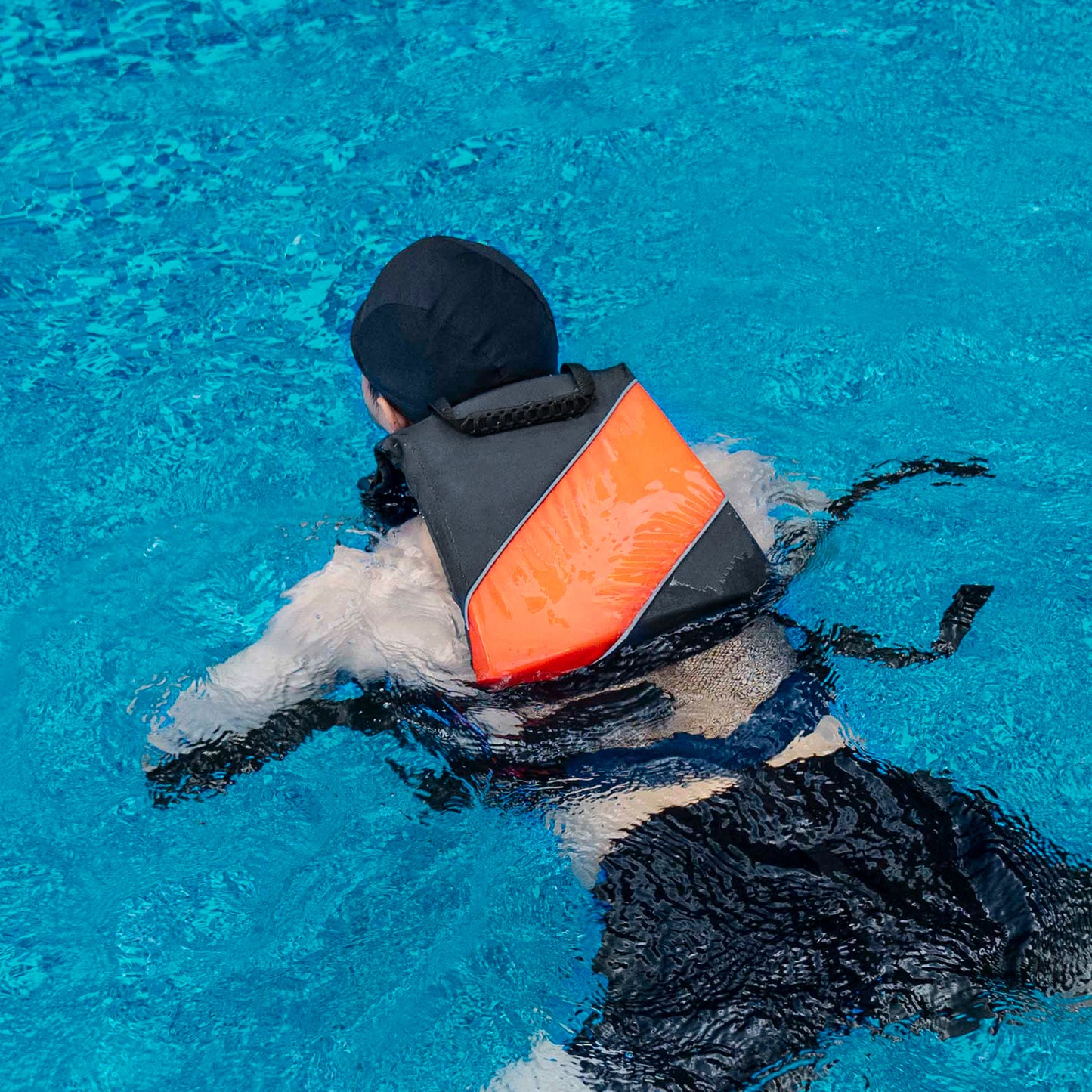 Vevor Watersports Life Vest PFD 80N Buoyancy Jacket