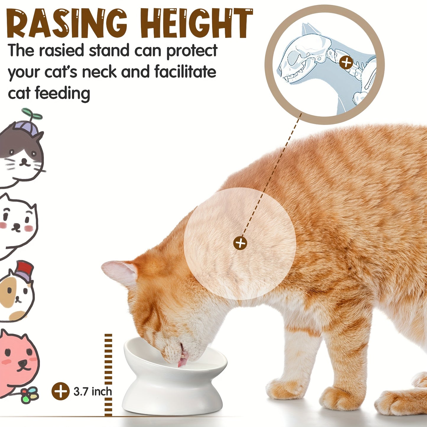 Ceramic Elevated Cat Bowls Tilted Backflow Dishwasher Safe