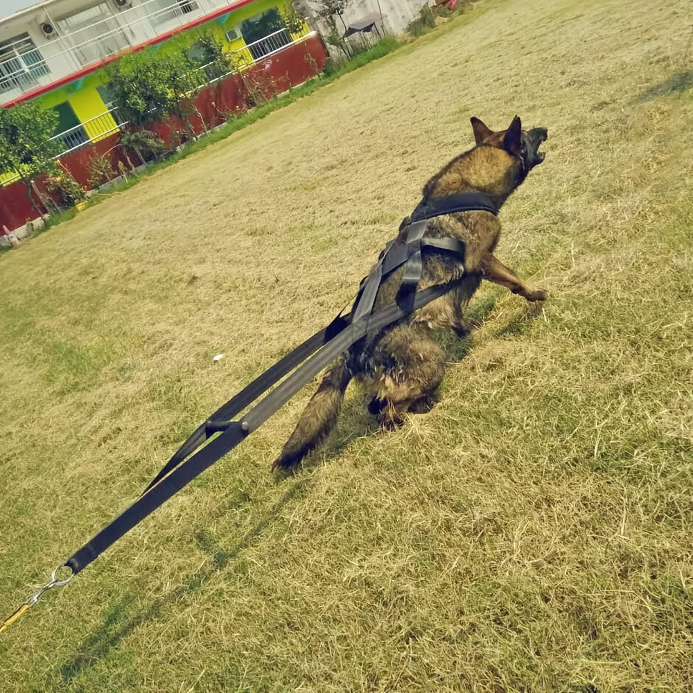 Heavy Duty Dog Traction Training Harness Adjustable Straps