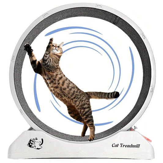 Cat Exercise Wheel for Indoor Fitness and Health Activities