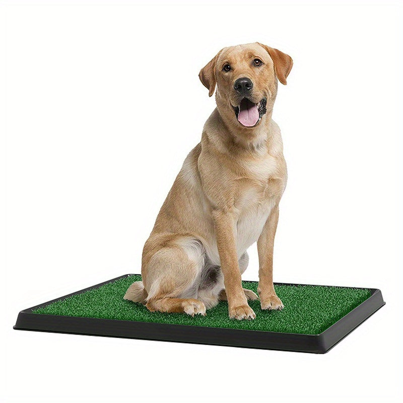 Dog Grass Mat With Tray Indoor Litter Box For Apartment