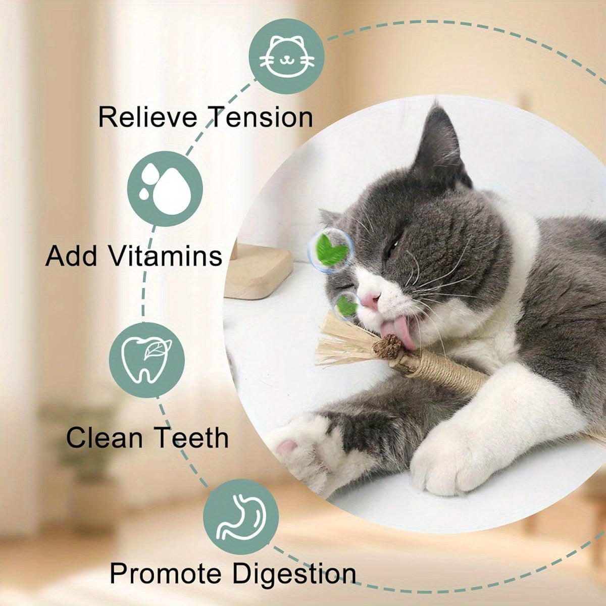 7 In 1 Hyperstimulating Cat Toy Set With Suction Cup