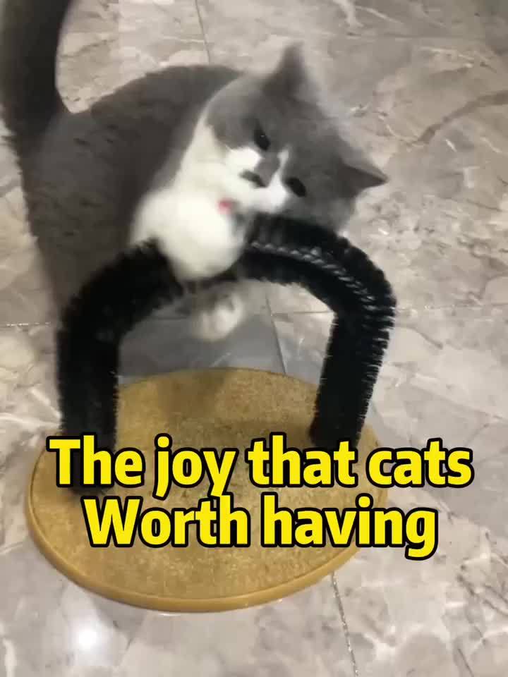 Multi Functional Cat Groomer 4 In 1 Self Grooming Arch