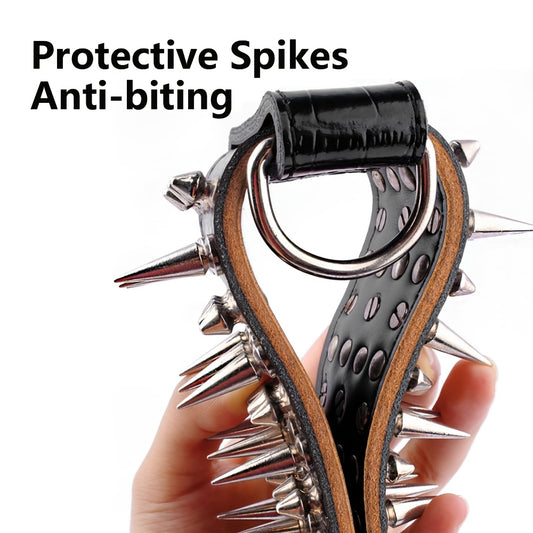 Spiked Studded Leather Dog Collar Rugged Protection