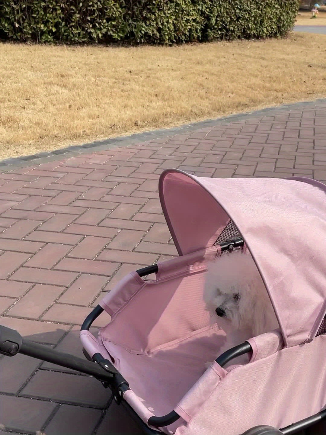 Foldable Pet Stroller With Storage Pockets And Safety Straps
