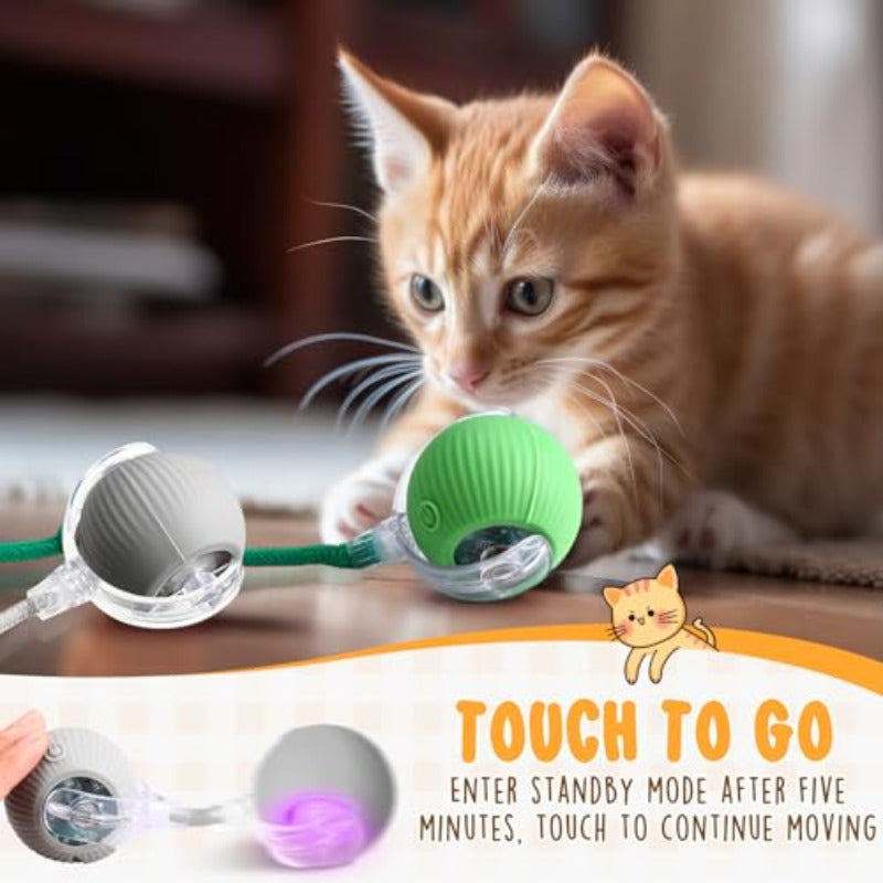 Six Pack Interactive Cat Ball Toy 360 Degree Rolling